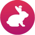 BunnyToken