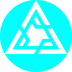 Force For Fast Token