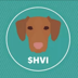 Hungarian Vizsla Inu