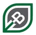 YSDT Token
