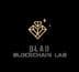 Blockchain Lab (BLAB)
