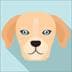 DOGT Token (DOGT)