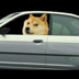 A Gently Used 2001 Honda (USEDCAR)
