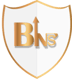 Bitsense (BINS)