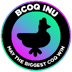 Black Coqinu (BCOQ)