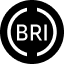 Brightpool (BRI)