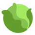 Cabbage (CAB)