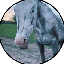 Cheyenne (CHEYENNE)