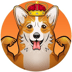 柯基犬 (CORGI)