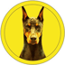 Dobermann Token (DOBE)