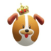 DogeZone (DGZ)