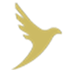 FDC (FDC)