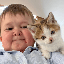 Hasbulla's Cat (BARSIK)