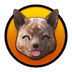 Kai Inu (KAI)