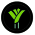 韭菜币 (LEEK)