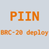 PIIN (PIIN)