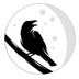 RavenMoon (RVM)