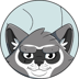 Rocket Raccoon (ROCKET)