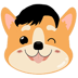 Shkreli Inu (SHKI)