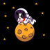 Space Doge (SPACEDOGE)