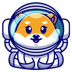 Baby Space Floki (BSF)