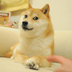 The Doge NFT (DOG)