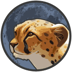 Cheetah token (CHTT)