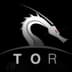 TORCHAIN (TOR)