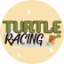 Turtle Racing (TURT)