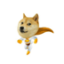 ZILLADOGE TOKEN (ZILLADOGE)