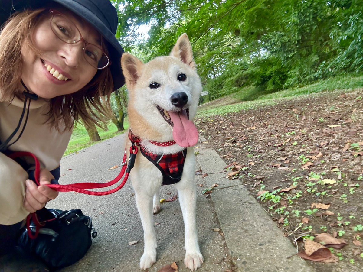 新柴犬Neiro登场，接棒DOGE成“Meme币新王”？-非小号