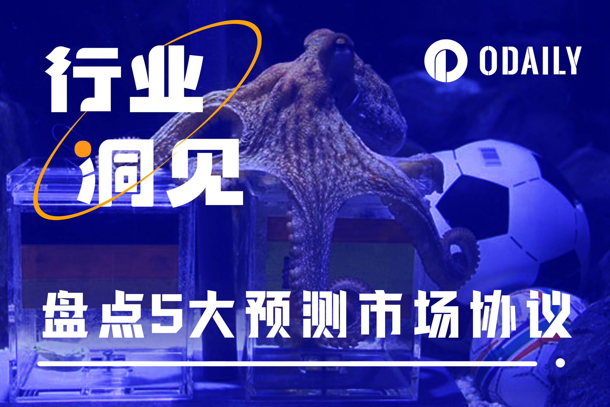 Polymarket发币在即？一文盘点5大加密预测市场-非小号