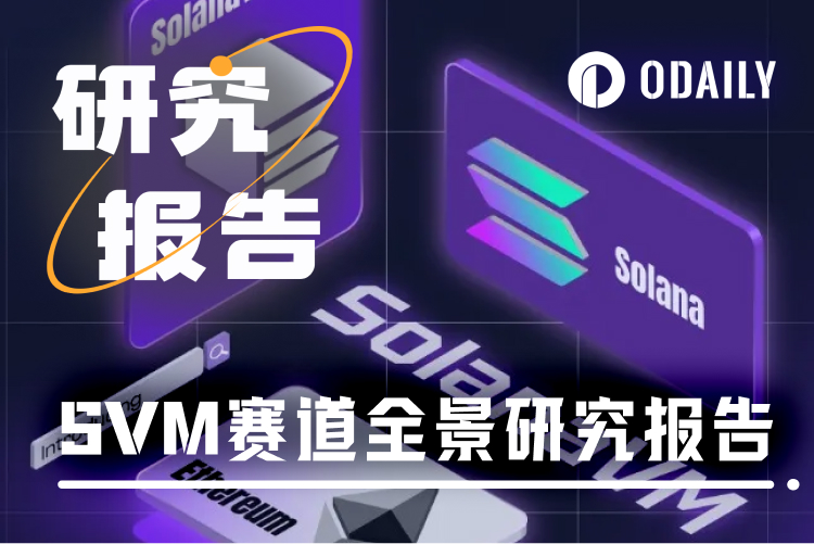 SVM赛道概览：MoveVM落地，SVM能走多远