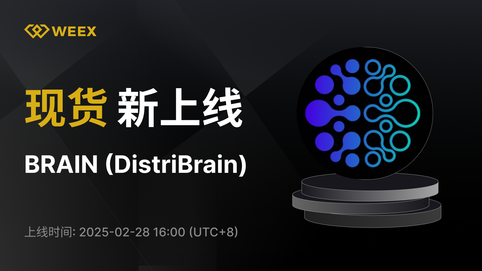 WEEX_CN_1600 × 1084.png