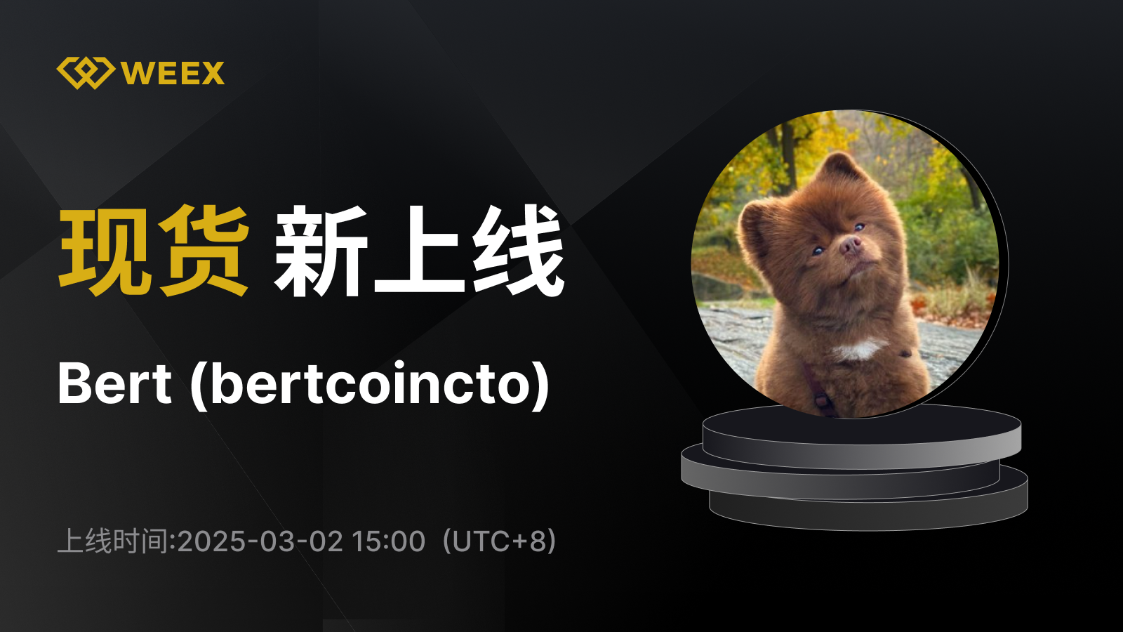 WEEX_CN_1600 × 1106.png