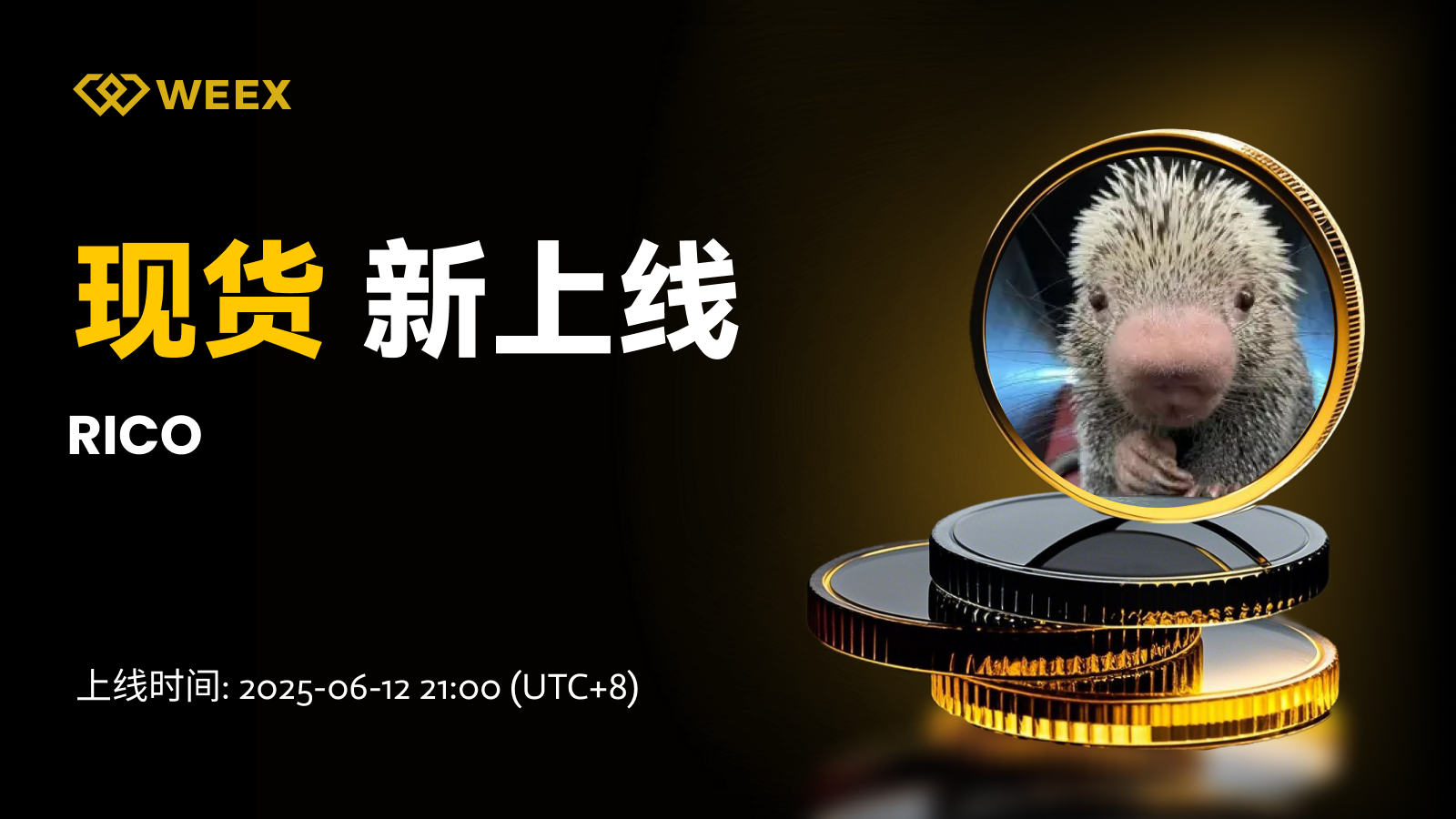 邮件_现货上币.png