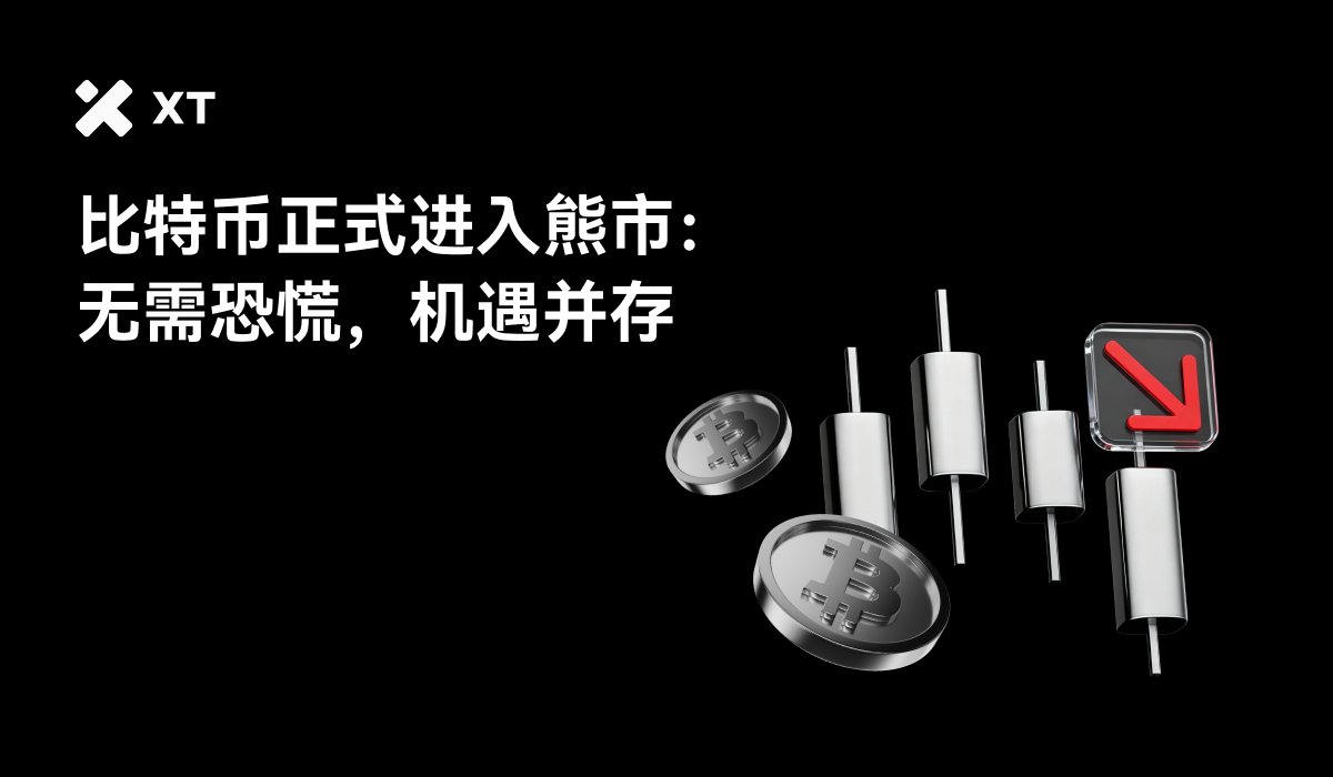 比特币正式进入熊市：链上证据、资金流向与投资者如何获利