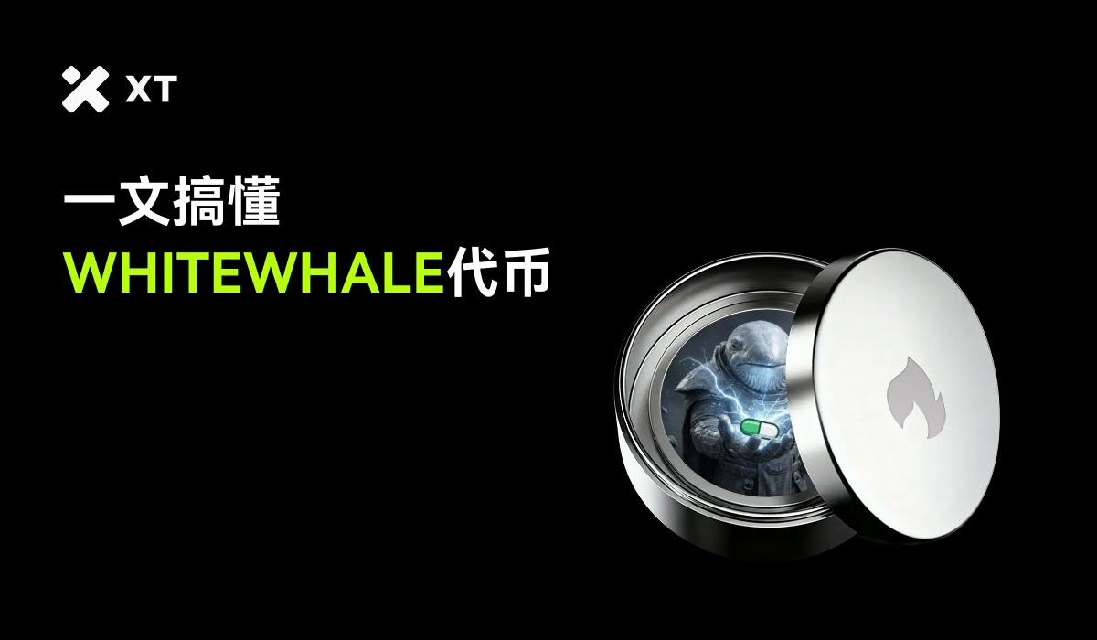 什么是WHITEWHALE？一枚隐喻加密深海的白鲸Meme币