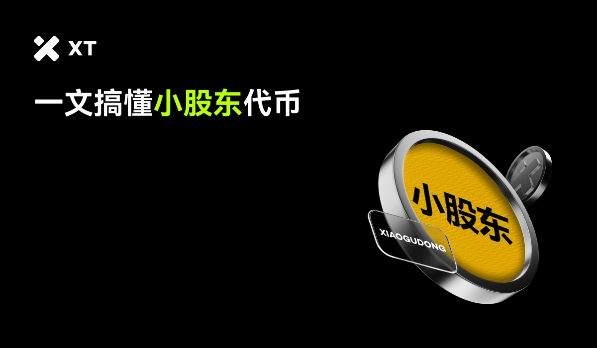 什么是小股东(XIAOGUDONG)？为“散户股东”而生的BSC Meme币-非小号